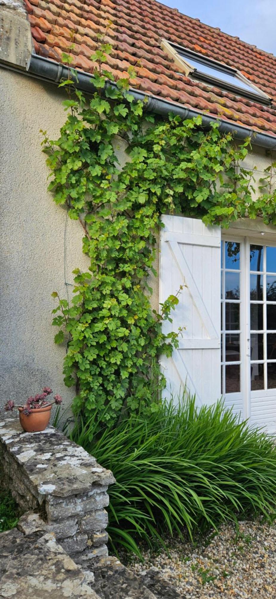 La Petite Chouette Saint-Côme-de-Fresné